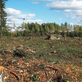 Dampak Lingkungan Gaya Hidup Modern & Cara Menguranginya