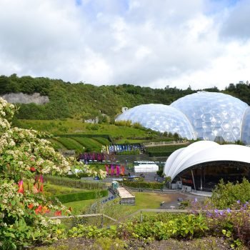 Biodiversitas sebagai Elemen Kunci Ekosistem Kota Hijau