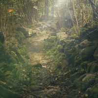 Taman Nasional Kerinci Seblat: Hutan Hujan Terbesar di Sumatra