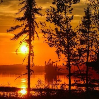 Biodiversitas dalam Mempertahankan Kehidupan dan Ekosistem