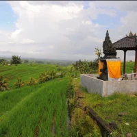 Efektivitas Partisipasi Publik Warisan Budaya Subak