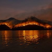 Kebakaran Hutan Akibat Kemarau Ekstrem