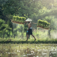 Hari Krida Pertanian: Apresiasi untuk Petani Berkelanjutan