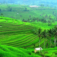 Warisan Hijau Nusantara