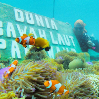 Keajaiban Dunia Bawah Laut, Apa Saja?
