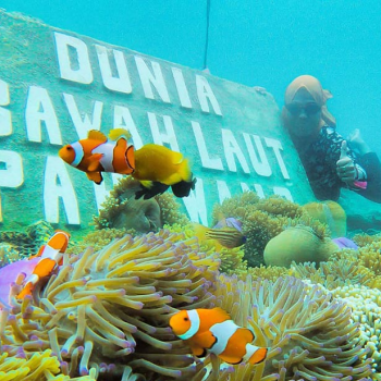 Keajaiban Dunia Bawah Laut, Apa Saja?