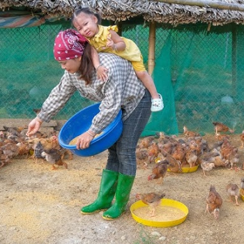 Ibu-Ibu Penggerak, Maggot sebagai Kawan: Ekonomi Sirkular Versi Pekarangan