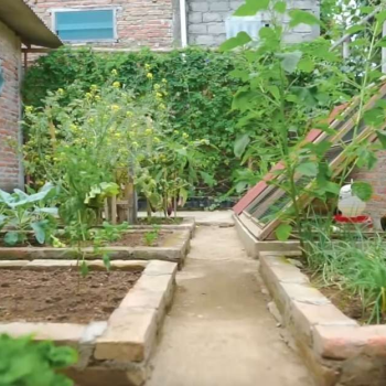 Dari Bogor ke Kampung-Kampung: Jalan Panjang Replikasi ‘KPK’