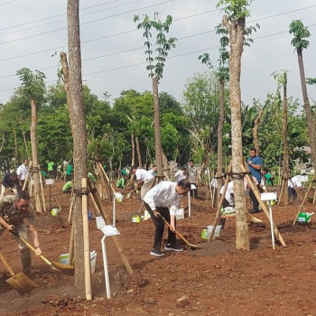 10 Januari: Menanam Satu Juta Pohon untuk Merawat Kehidupan