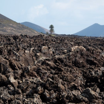 Potensi dan Hambatan Tanah Vulkanik untuk Wilayah Pertanian